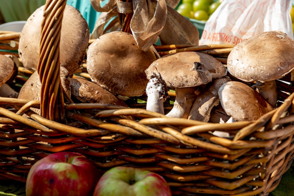 mushrooms in brown basket