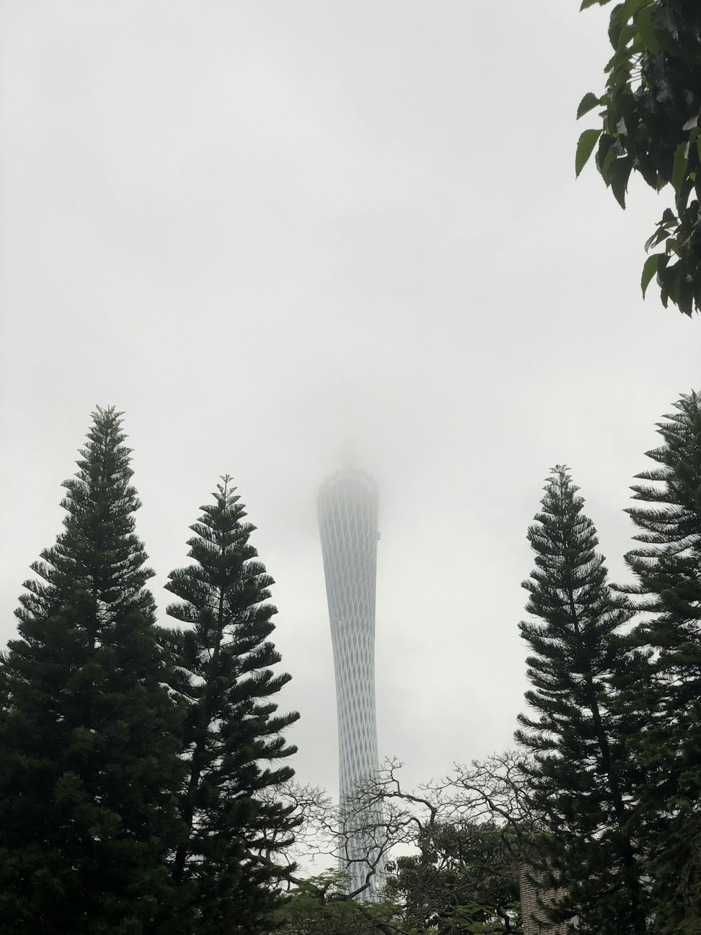 a tall tower towering over a forest of trees