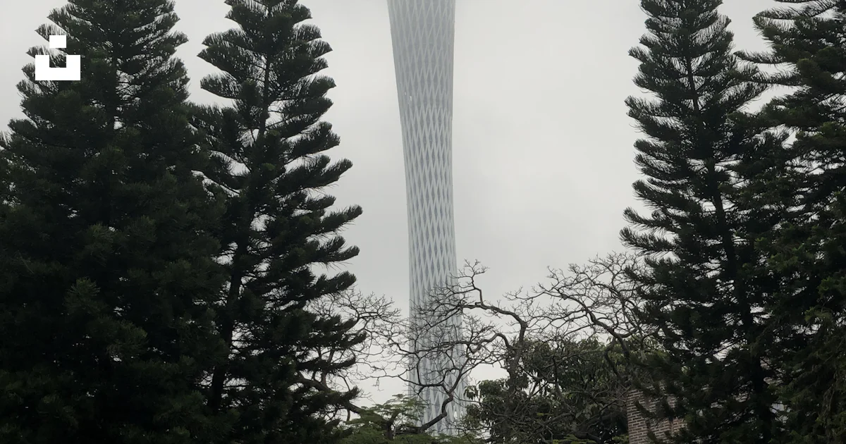 Una Torre Alta Que Se Eleva Sobre Un Bosque De rboles Foto Imagen De una-torre-alta-que-se-eleva-sobre-un-bosque-de-rboles-foto-imagen-de