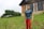 A plastic male doll dressed in a blue t-shirt and red pants stands on a grassy field in front of a rustic house. The house has large windows with white curtains, stone accents, and a wooden upper section. In the background, there are green trees against a cloudy sky.
