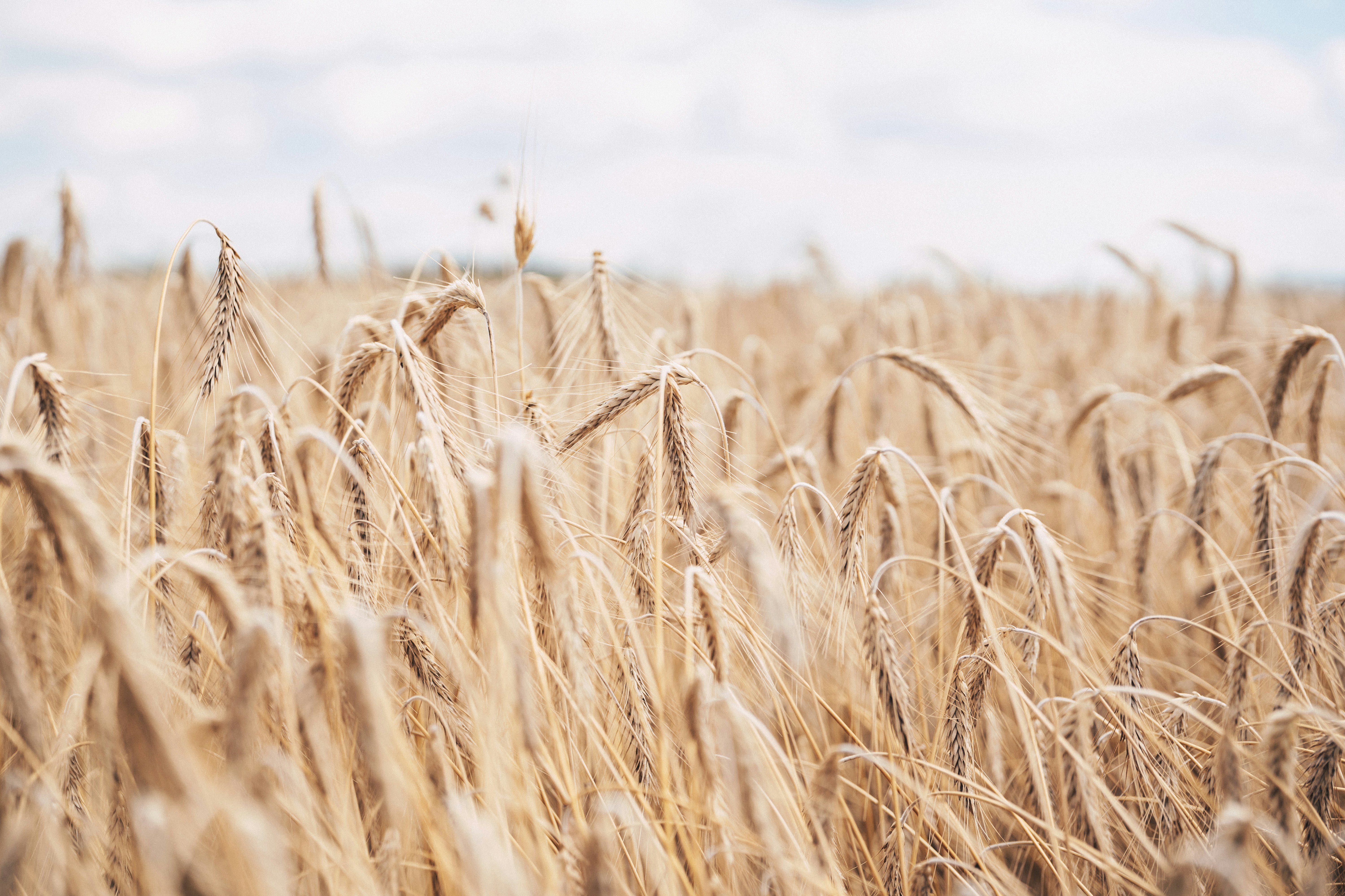 Photo by ballaschottner