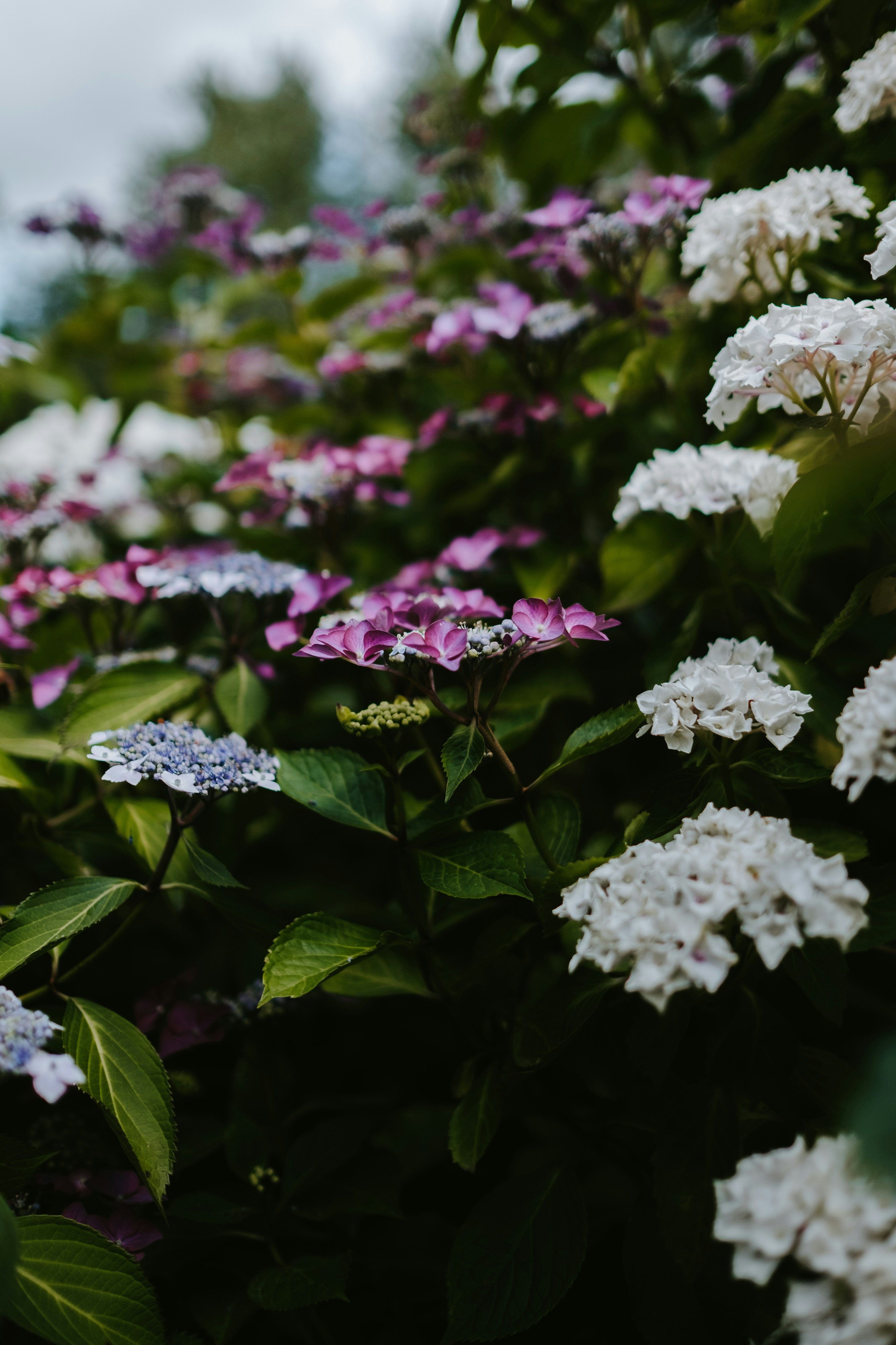 Photo by anniespratt