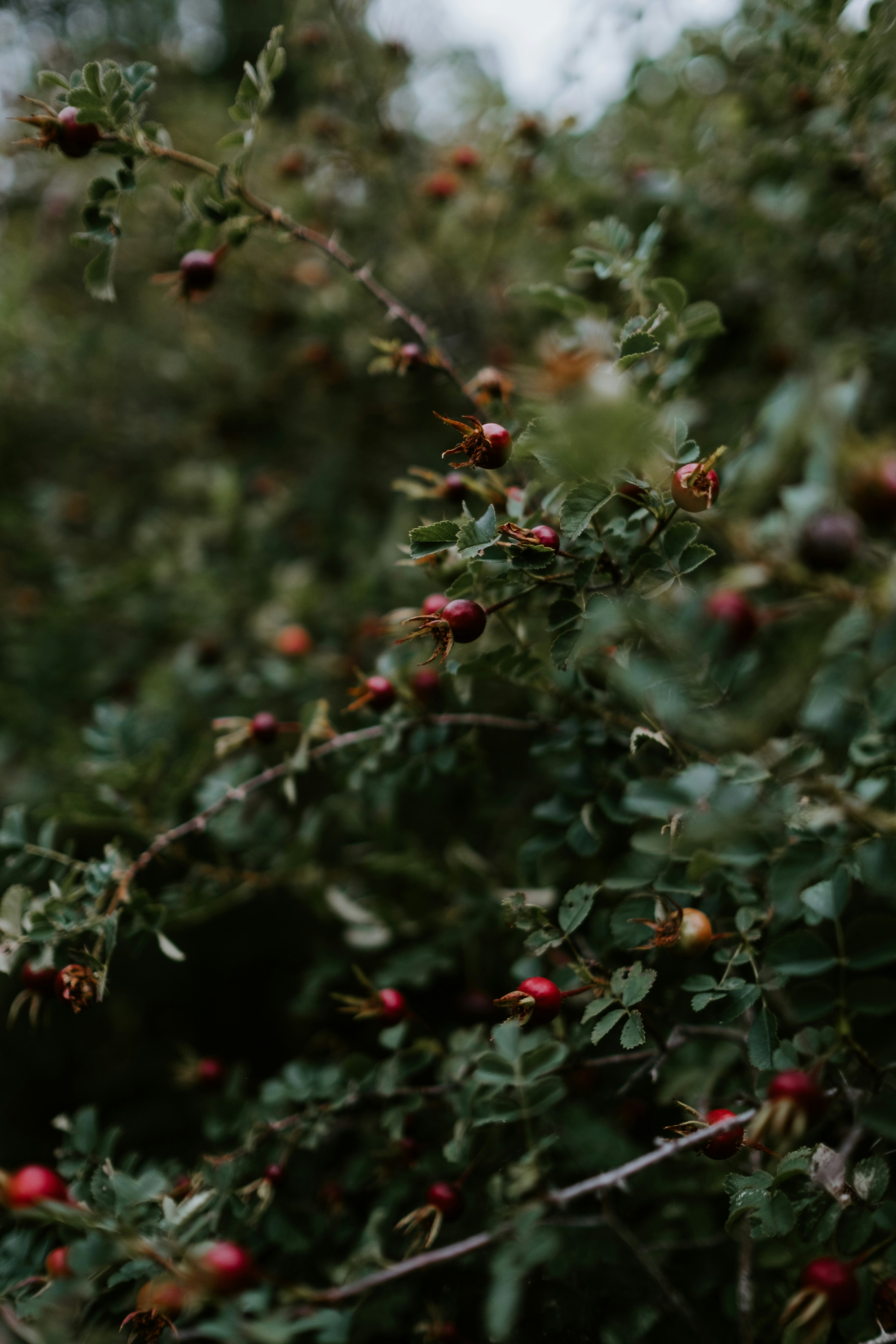 Photo by anniespratt