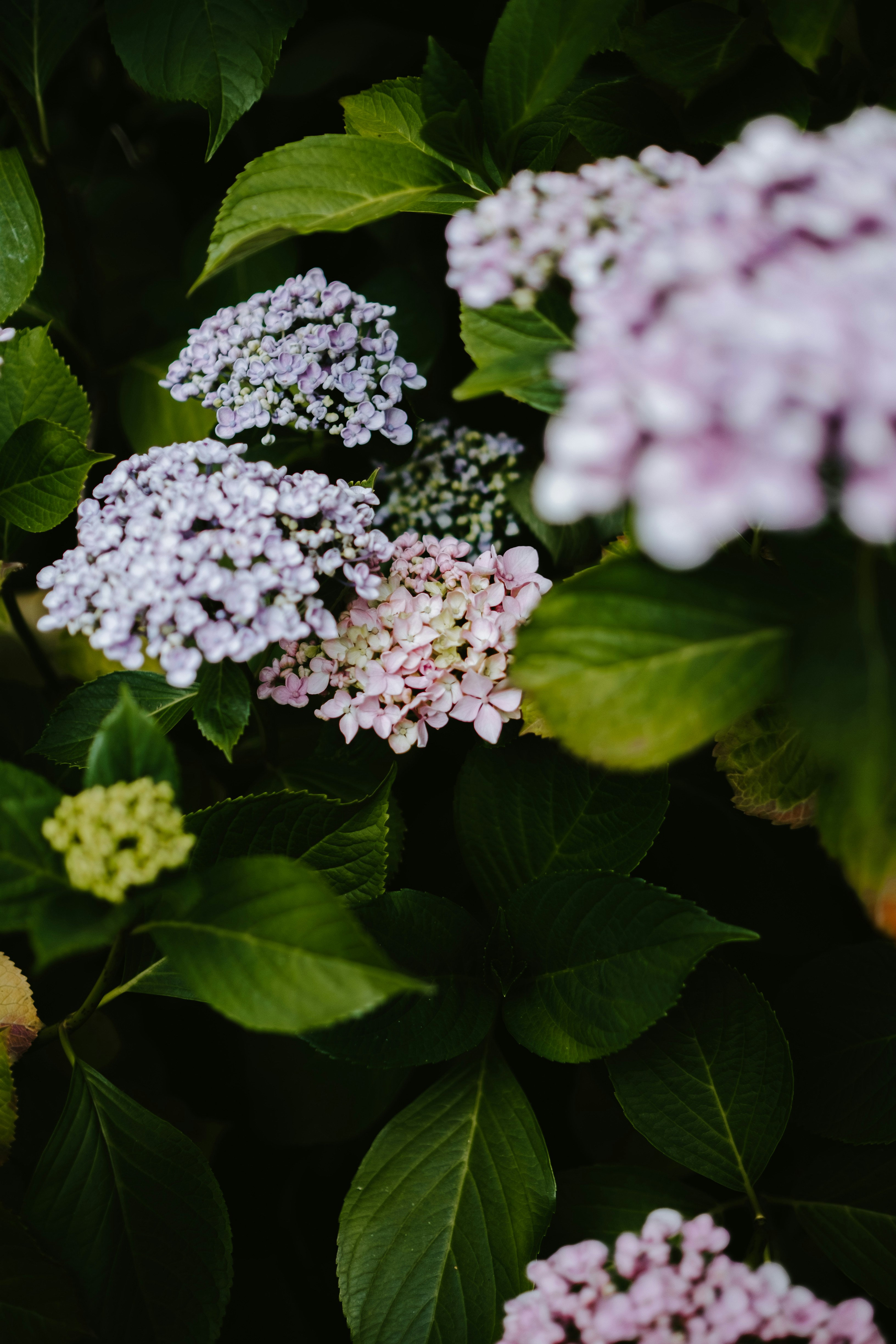 Photo by anniespratt