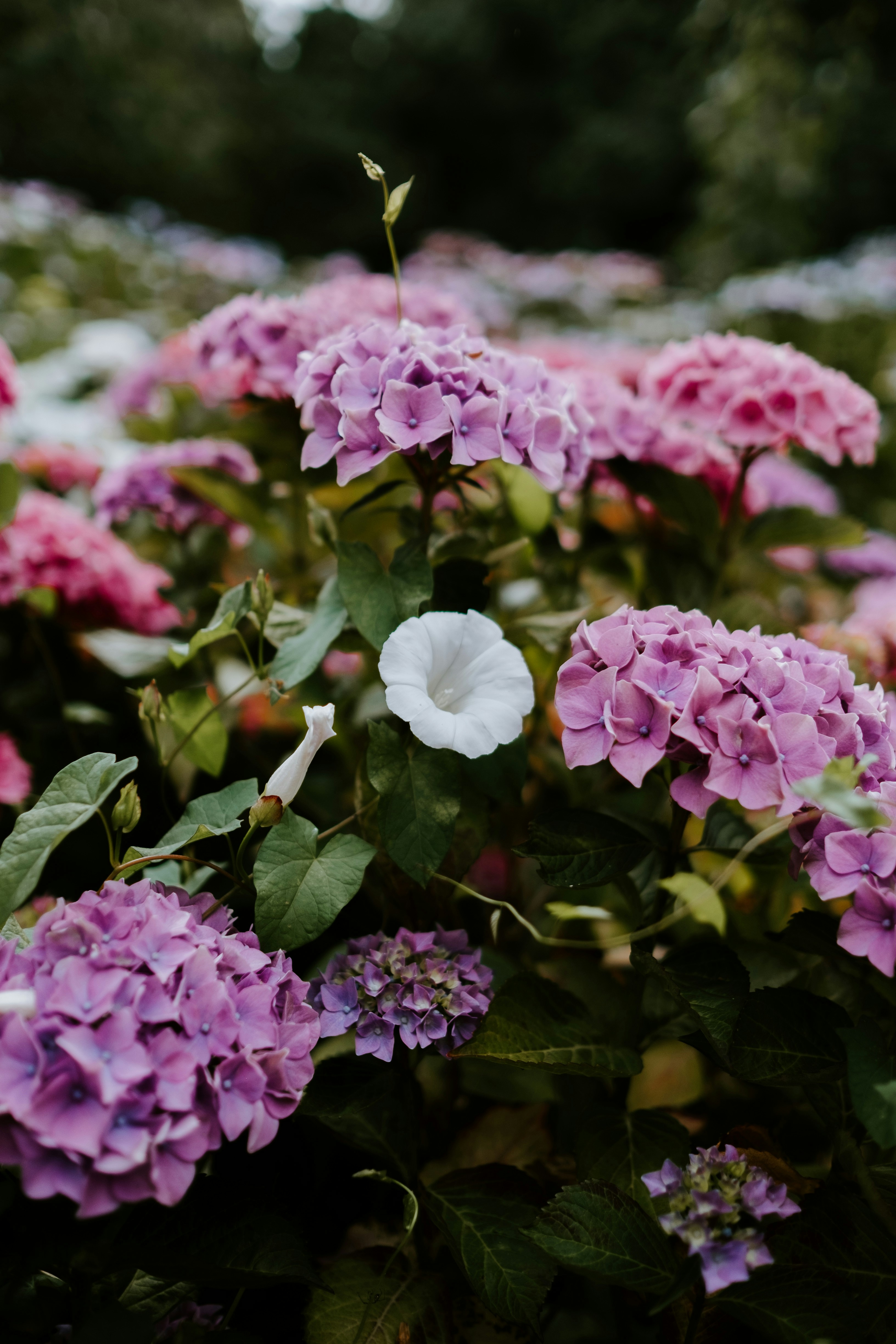 Photo by anniespratt