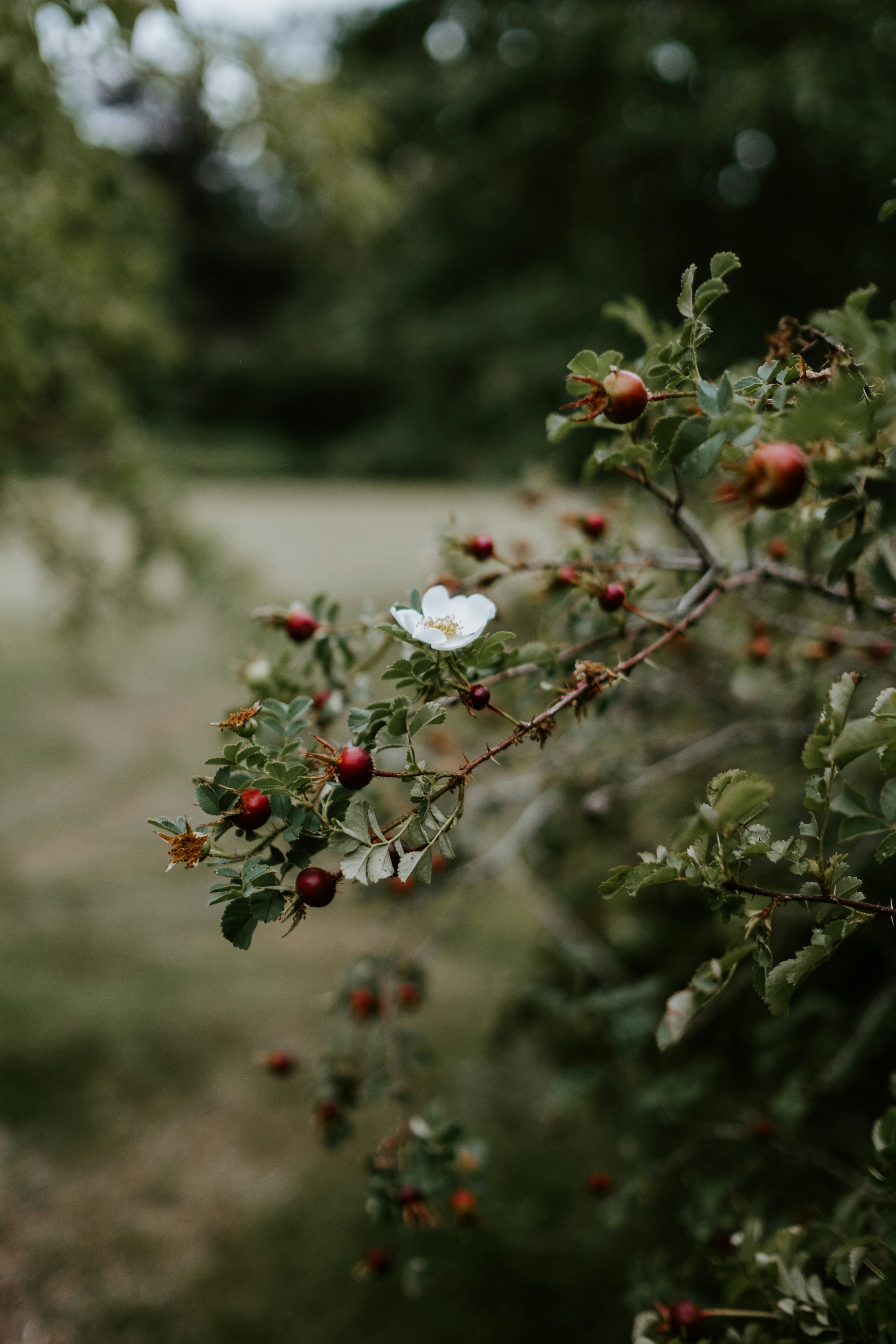 Photo by anniespratt