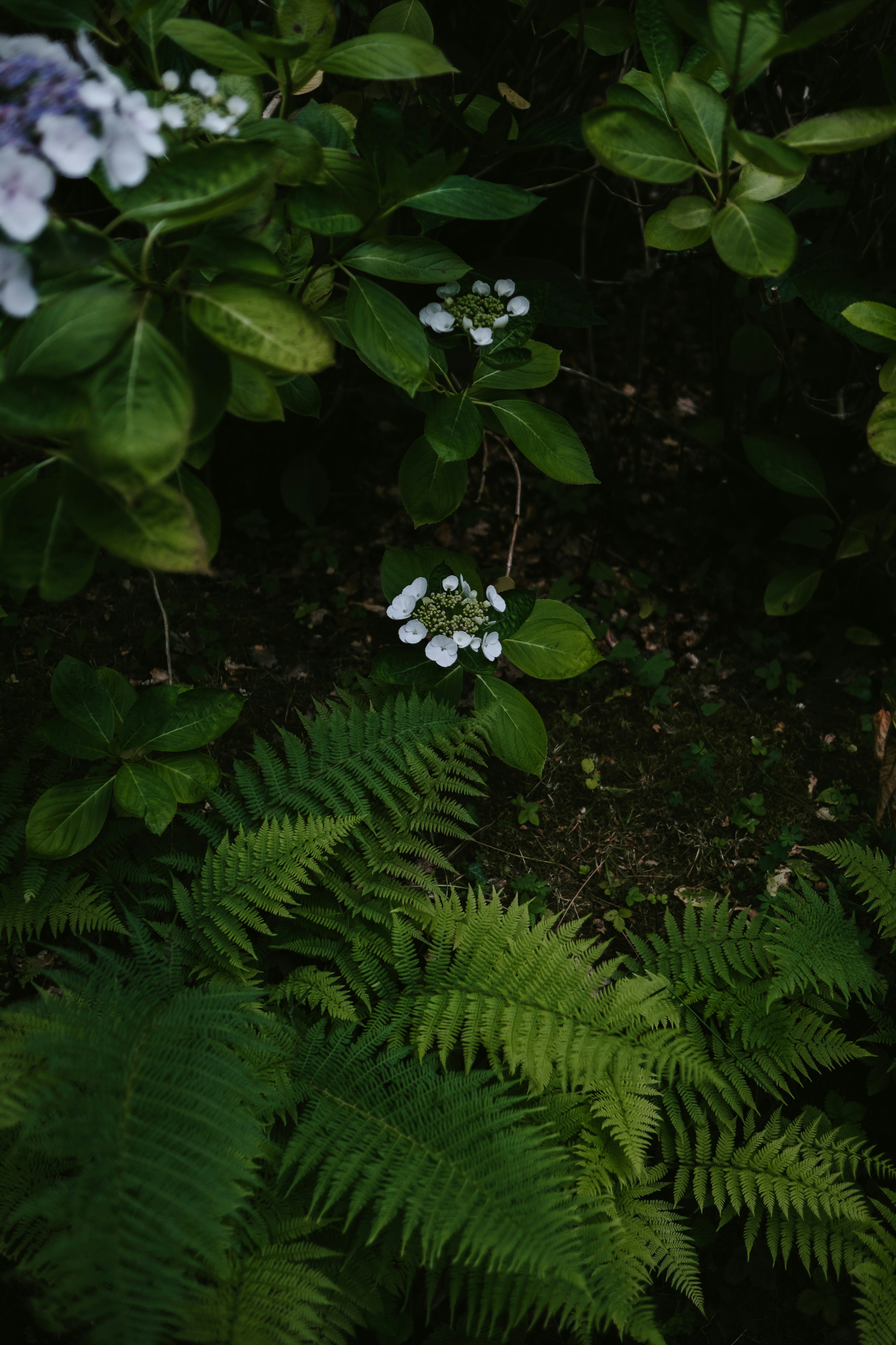 Photo by anniespratt