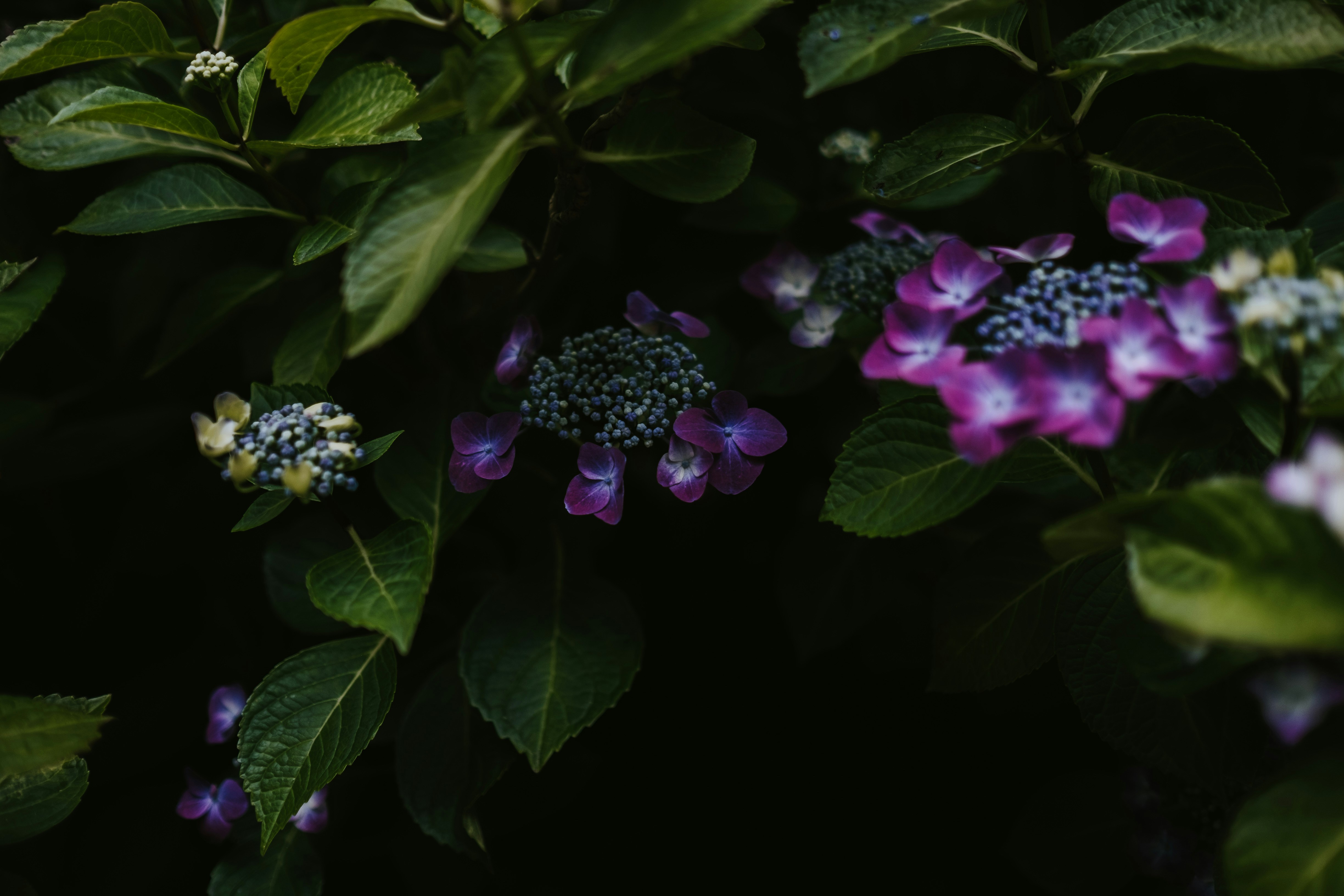 Photo by anniespratt