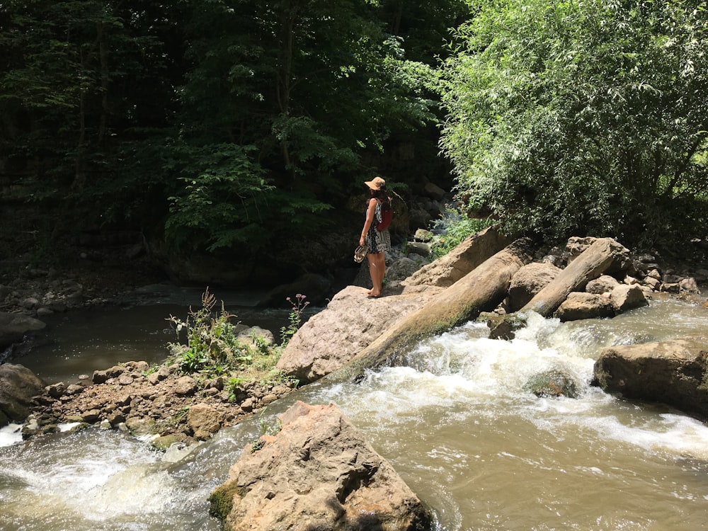 Mujer en mini vestido negro y gris de pie sobre la roca en el río