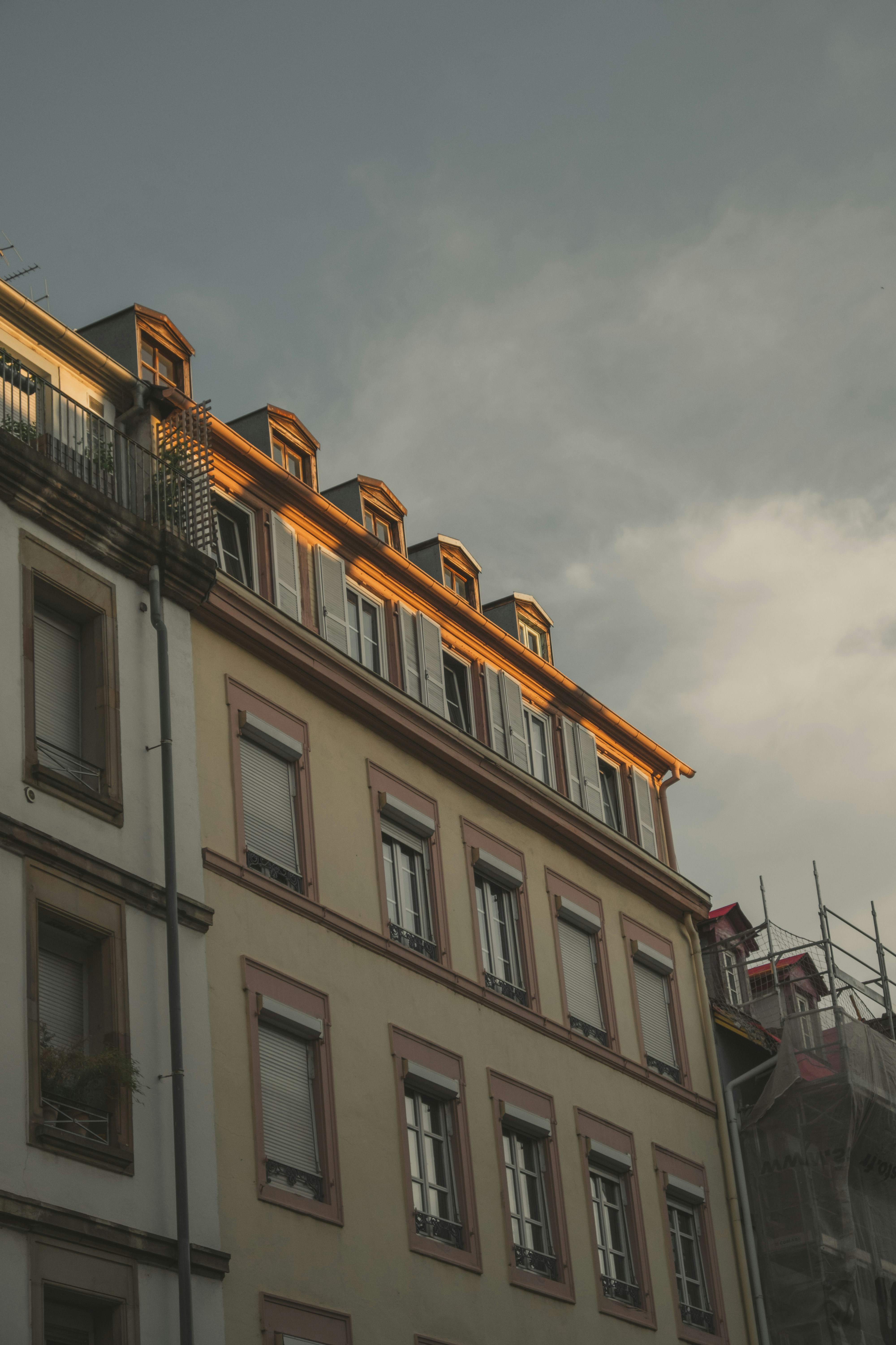 Photo by mimoto_photo