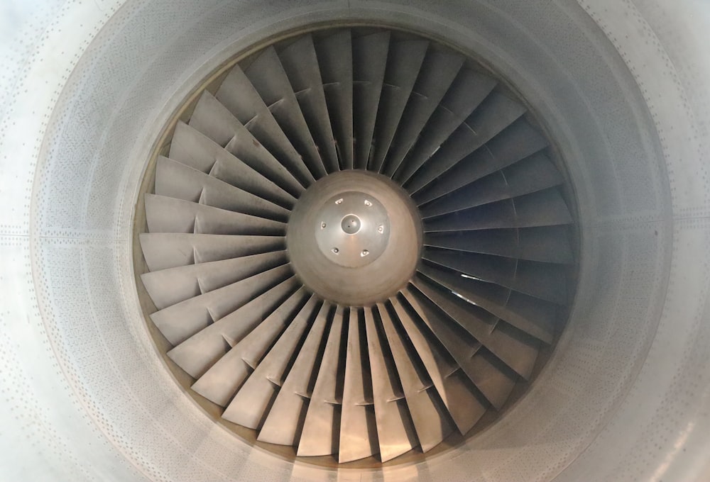 close-up photo of fan