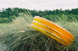 Close-up image of a float tent's inflated structure stabilizing on uneven forest ground.