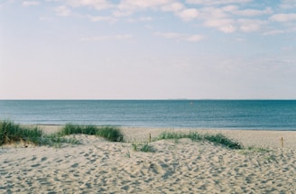 landscape photo of a gray sandy beach