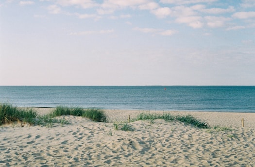 landscape photo of a gray sandy beach