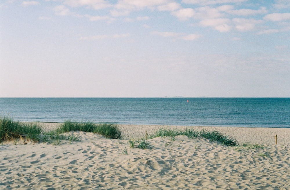 회색 모래 해변의 풍경 사진