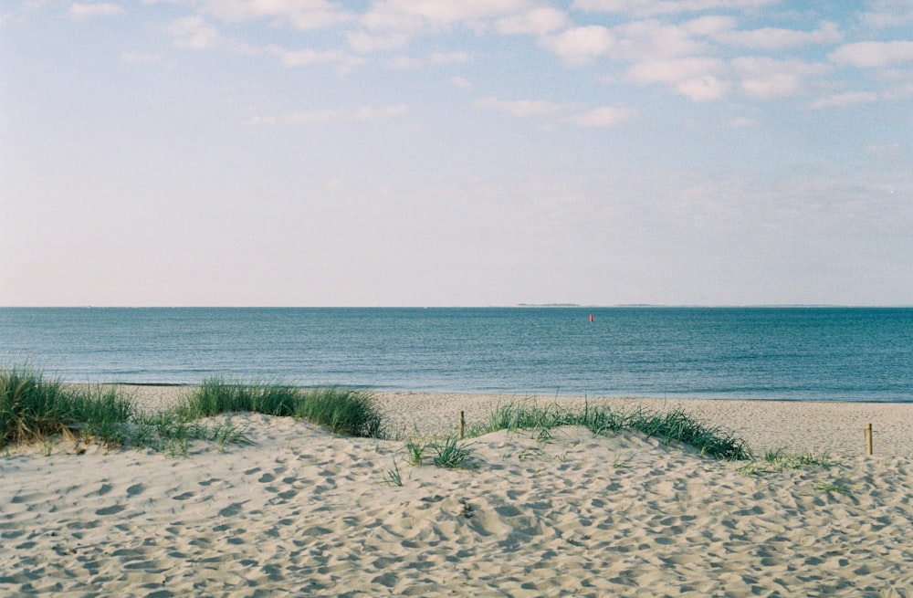 landscape photo of a gray sandy beach