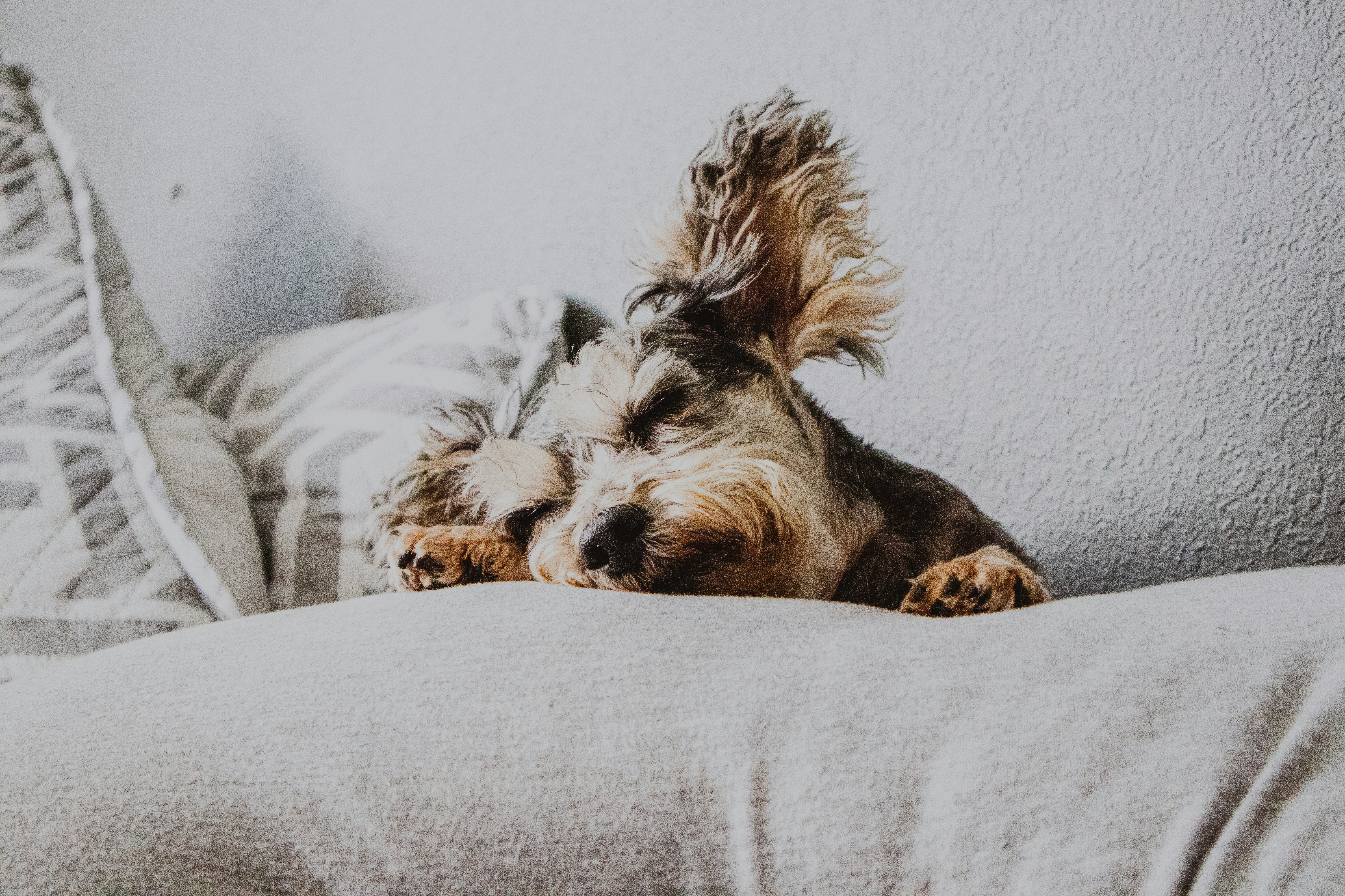 Photo by arsenaldm14