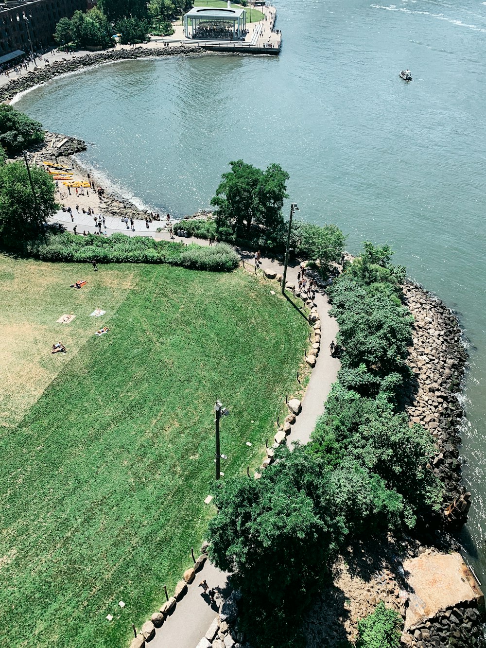 green grass and trees near body of water