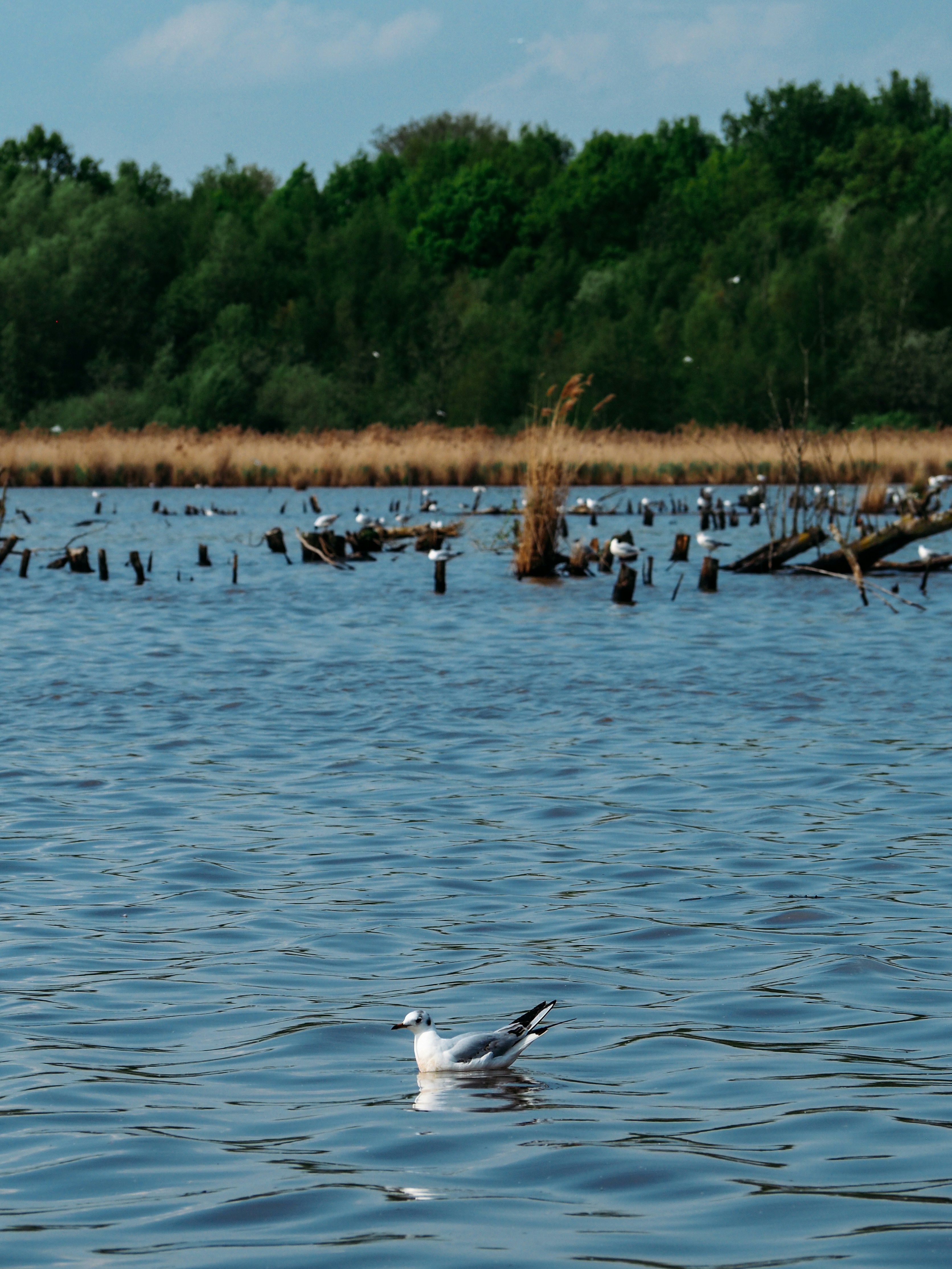 Photo by brechtdenil