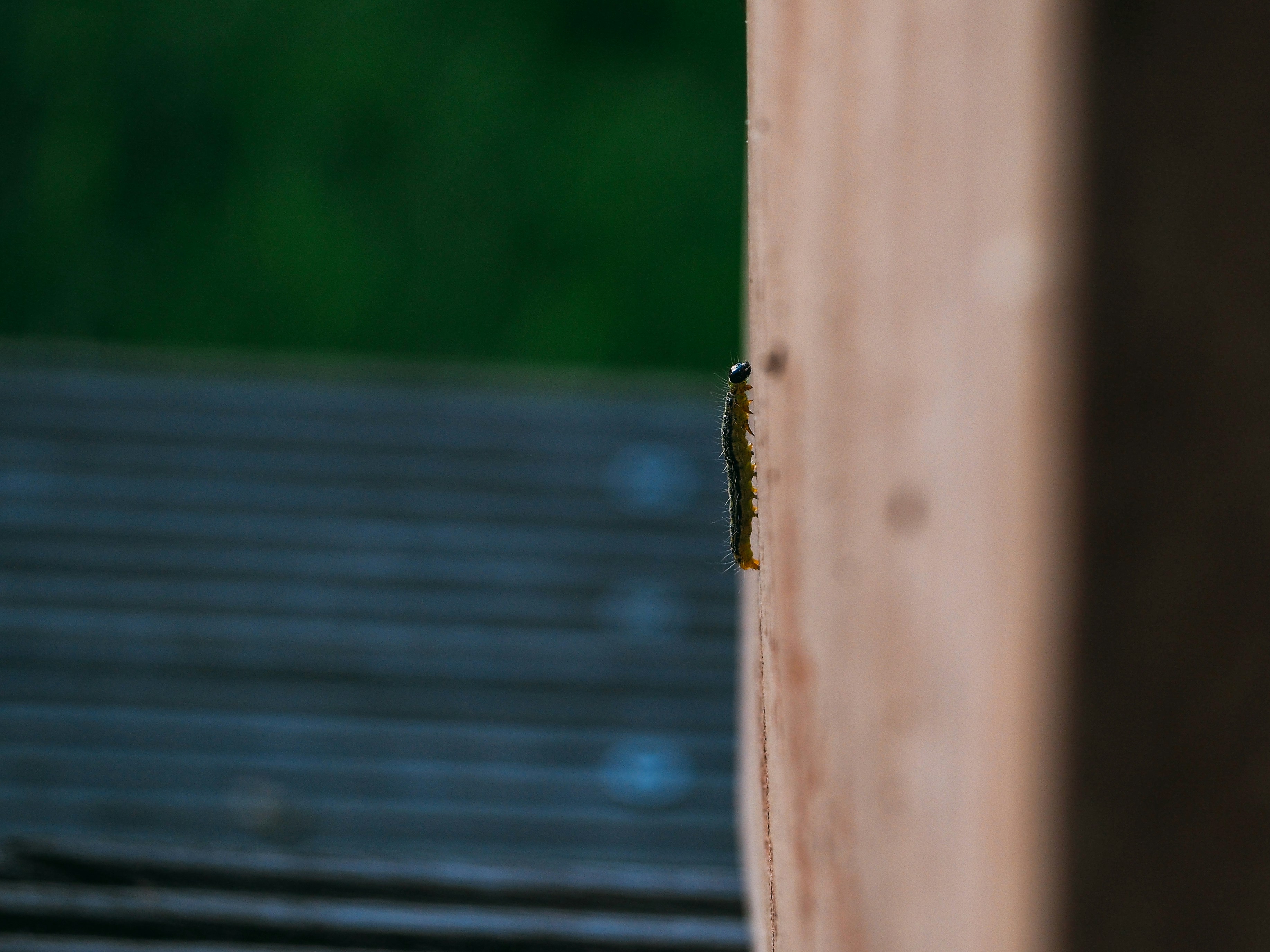 Photo by brechtdenil