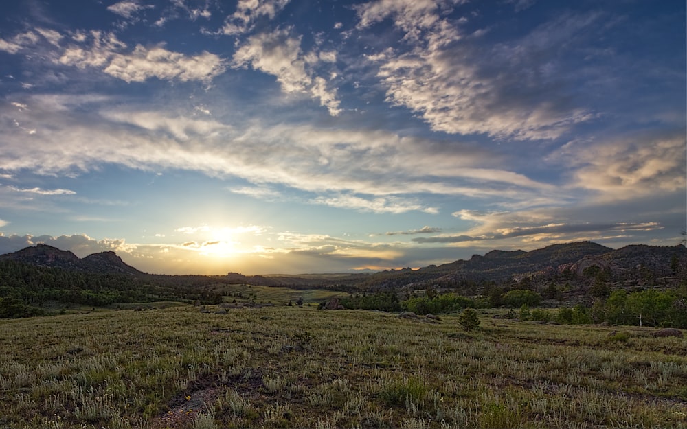 Campo verde bajo el cielo nublado