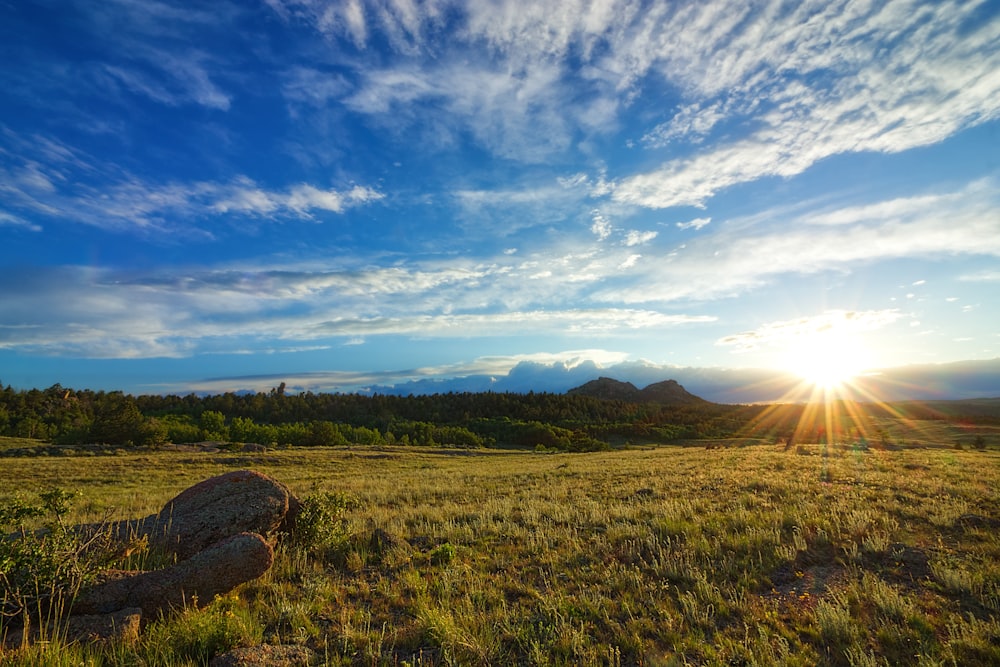 landscape photography of grass field