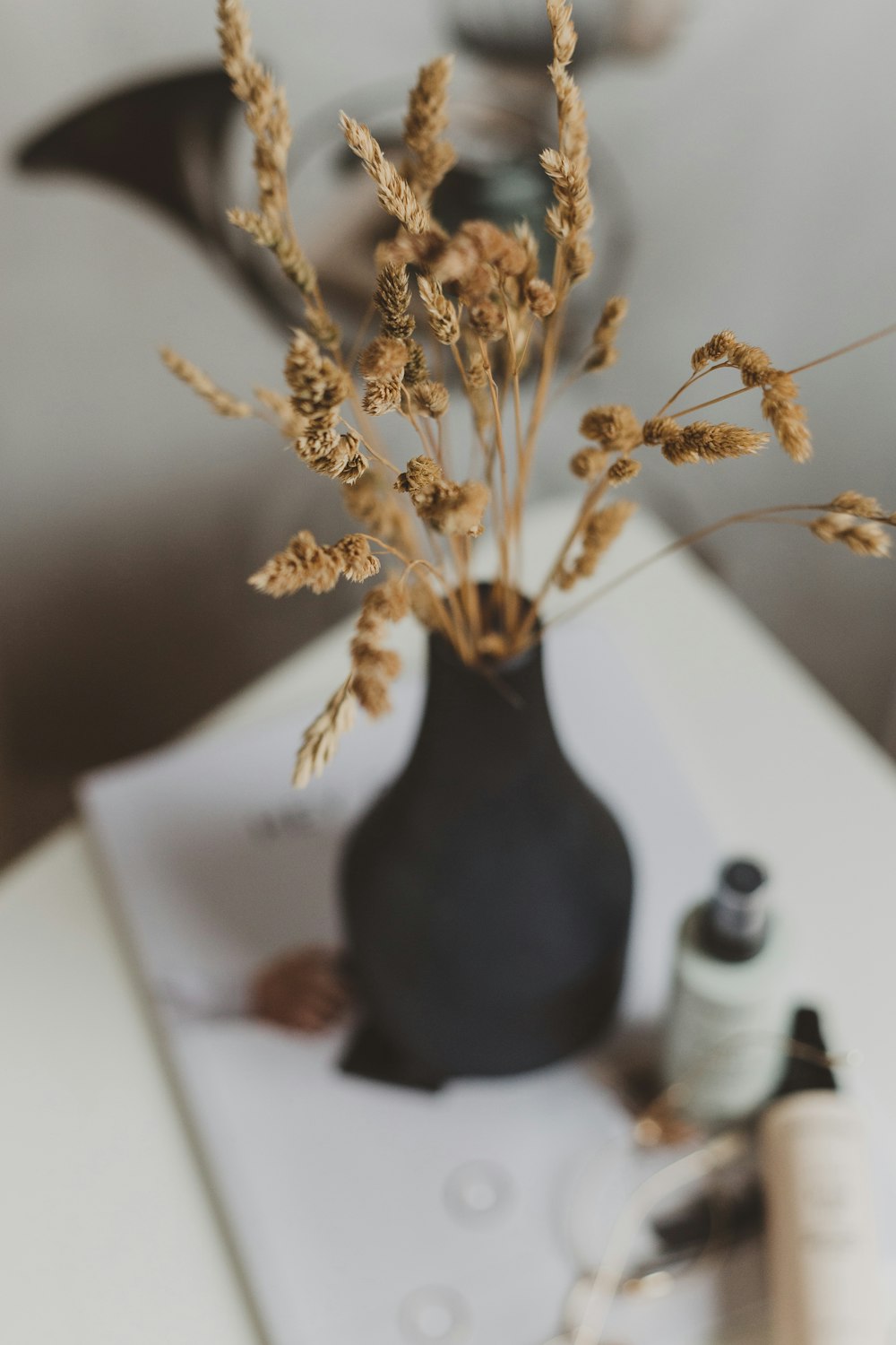 brown flower in black vase