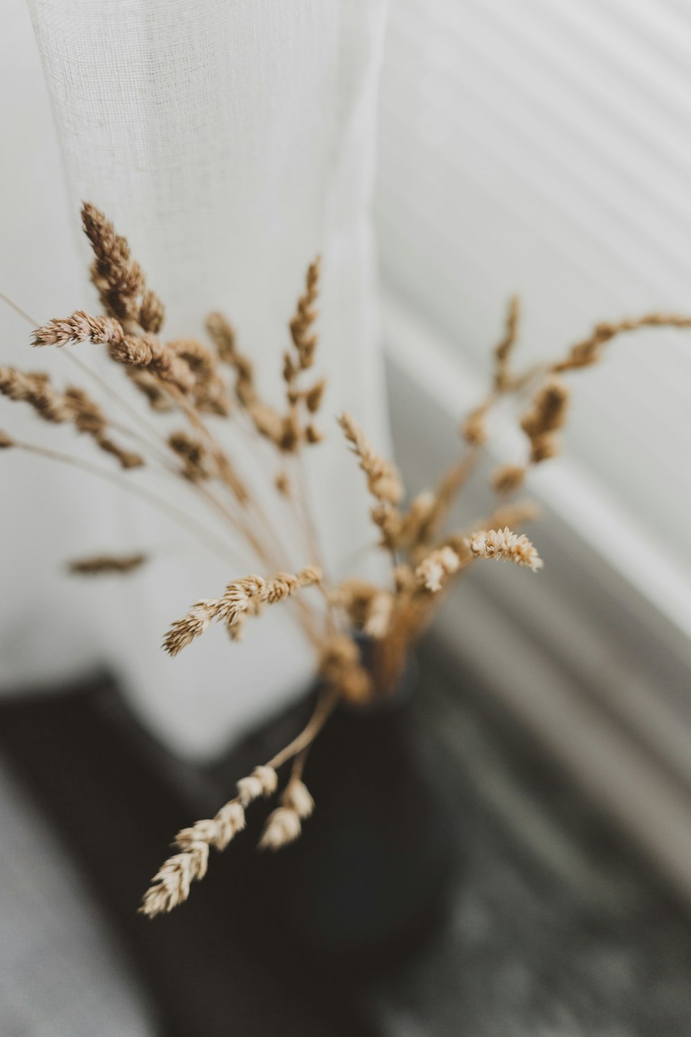 brown seed on vase