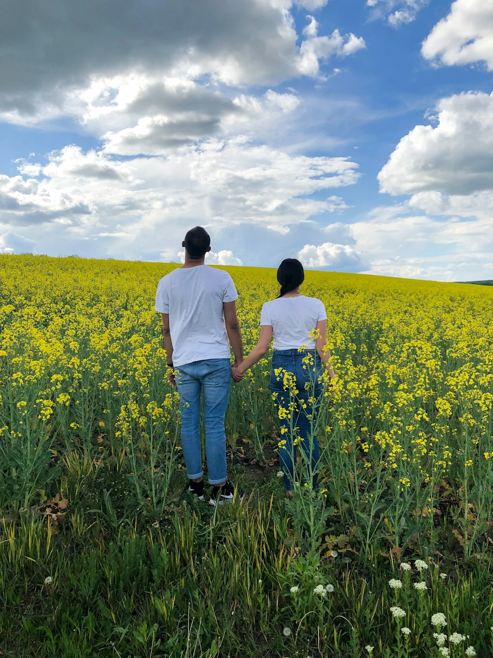 man and woman wearing white crew-neck T-shirt surrounded by yellow flowers