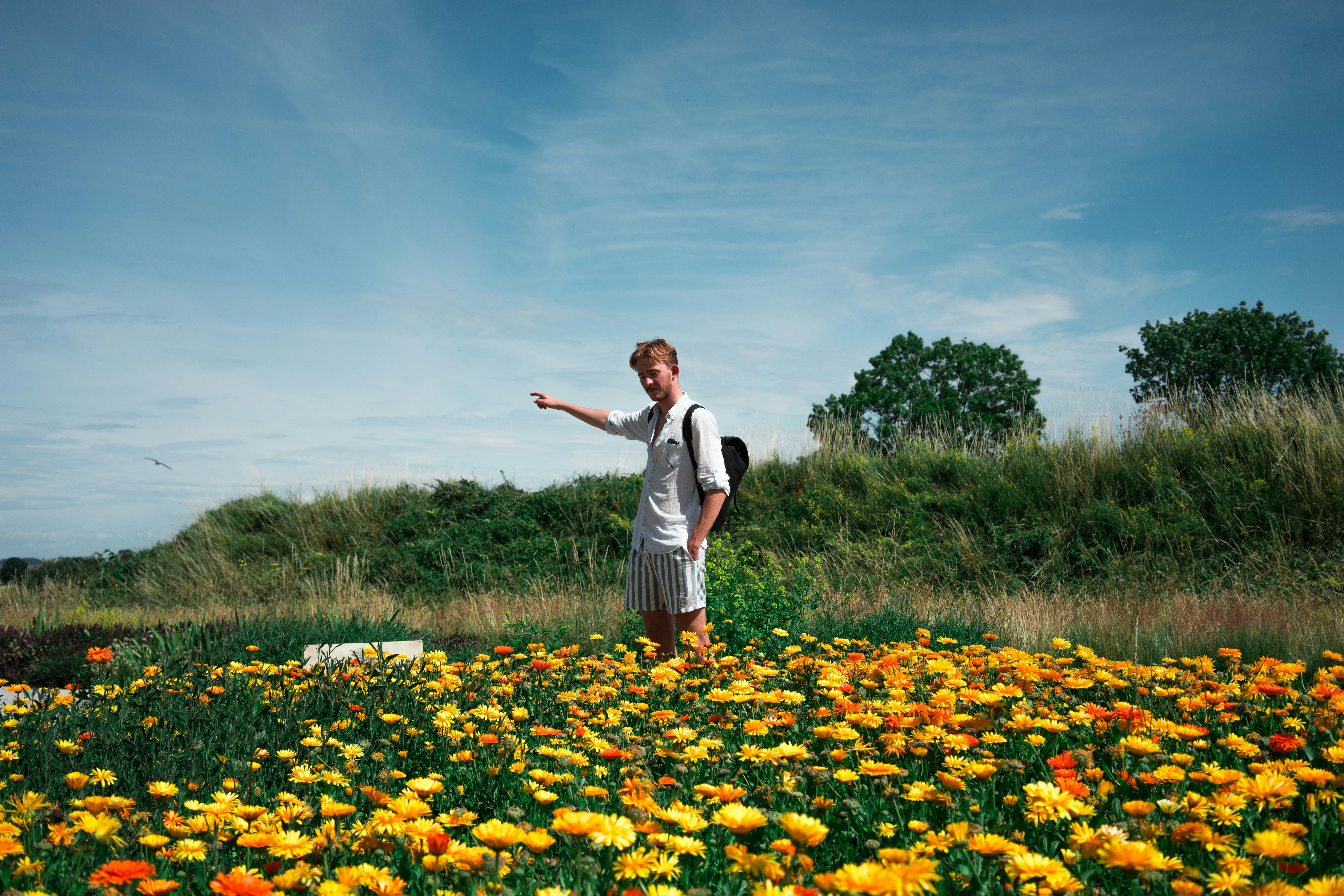 Photo by karljkhedin