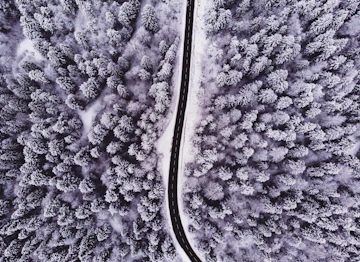 aerial view of winding road inline of trees