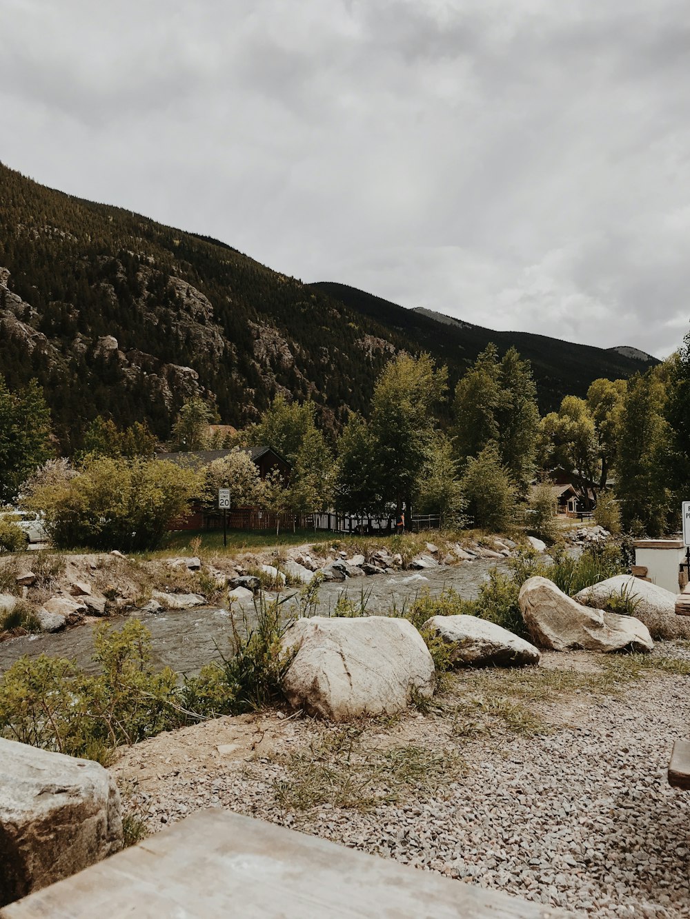 landscape of a stream