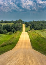 gravel road beside trees and grass