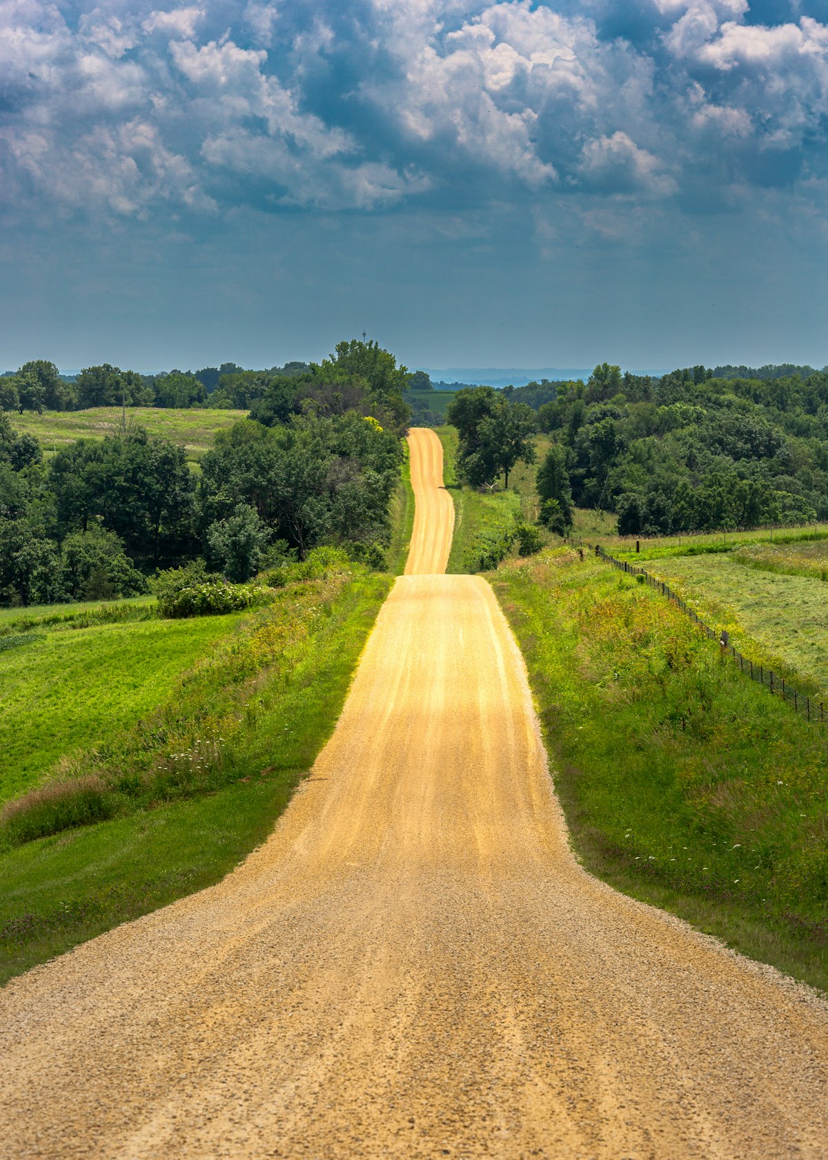 Gravel access road crossing rolling farmland between grass and trees.