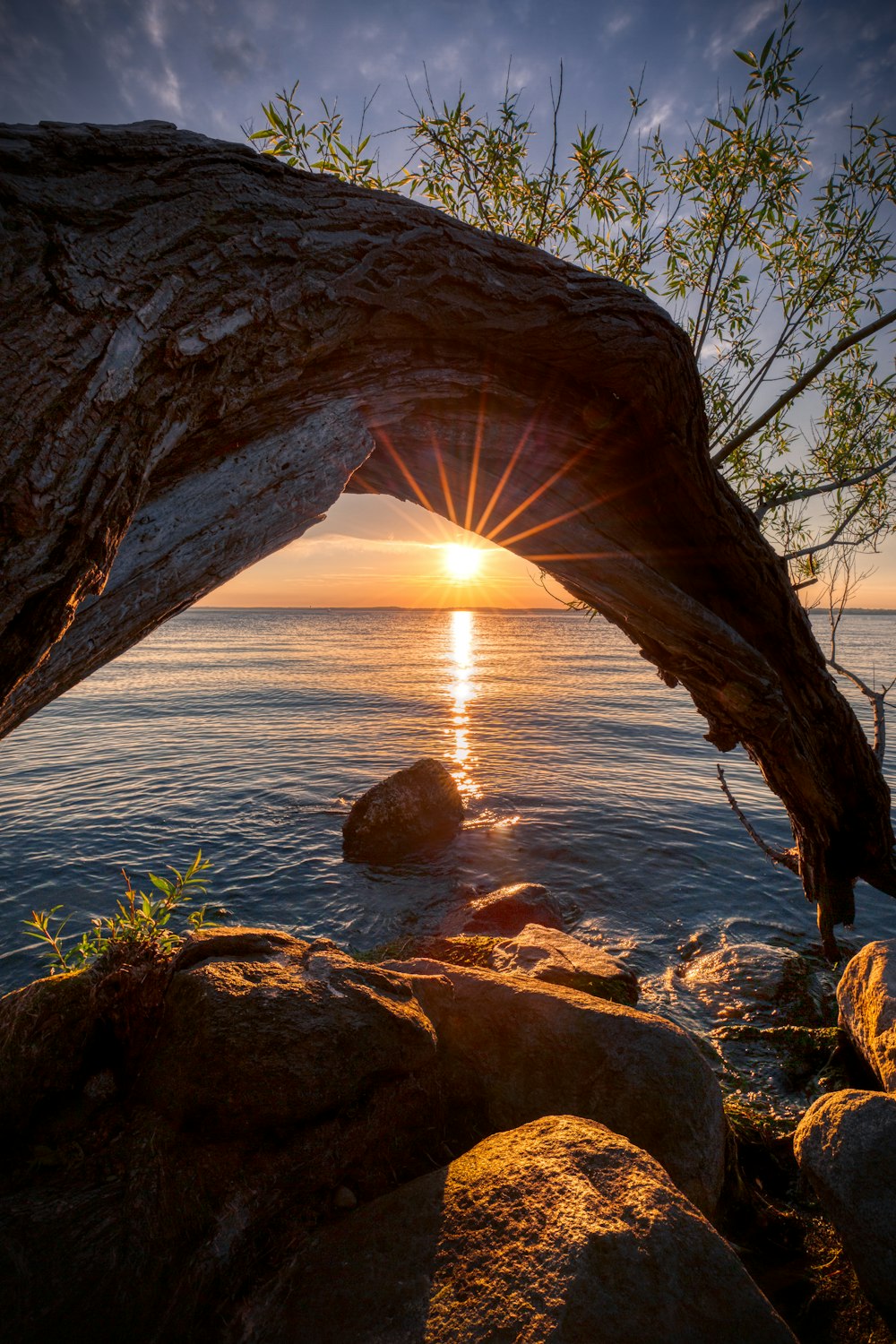 rock formation on sea