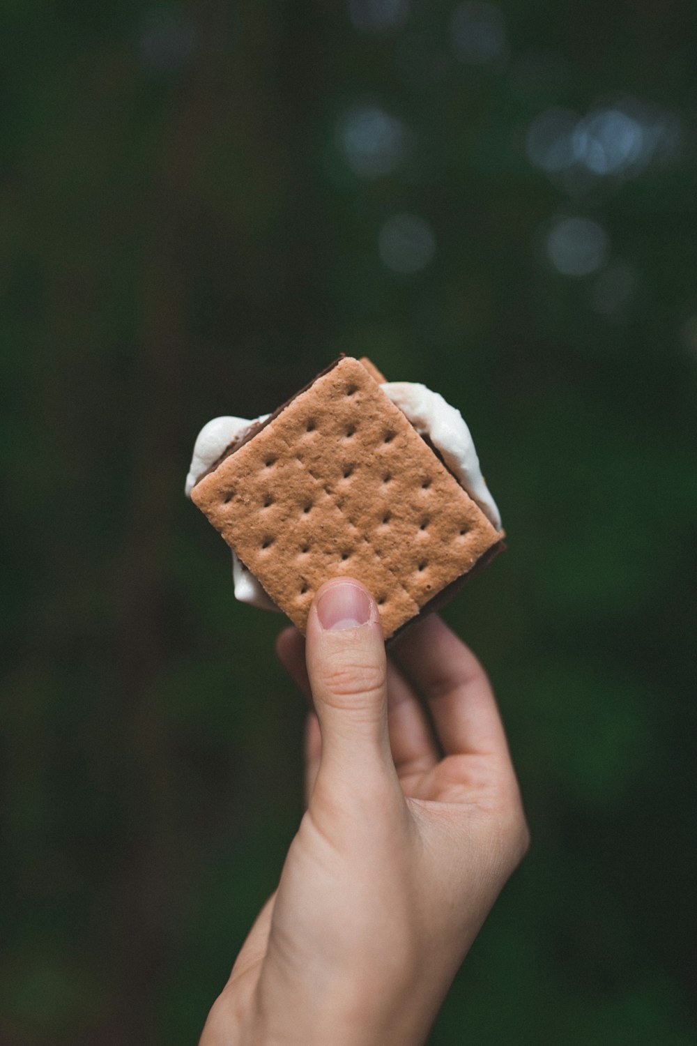 biscuit with cream