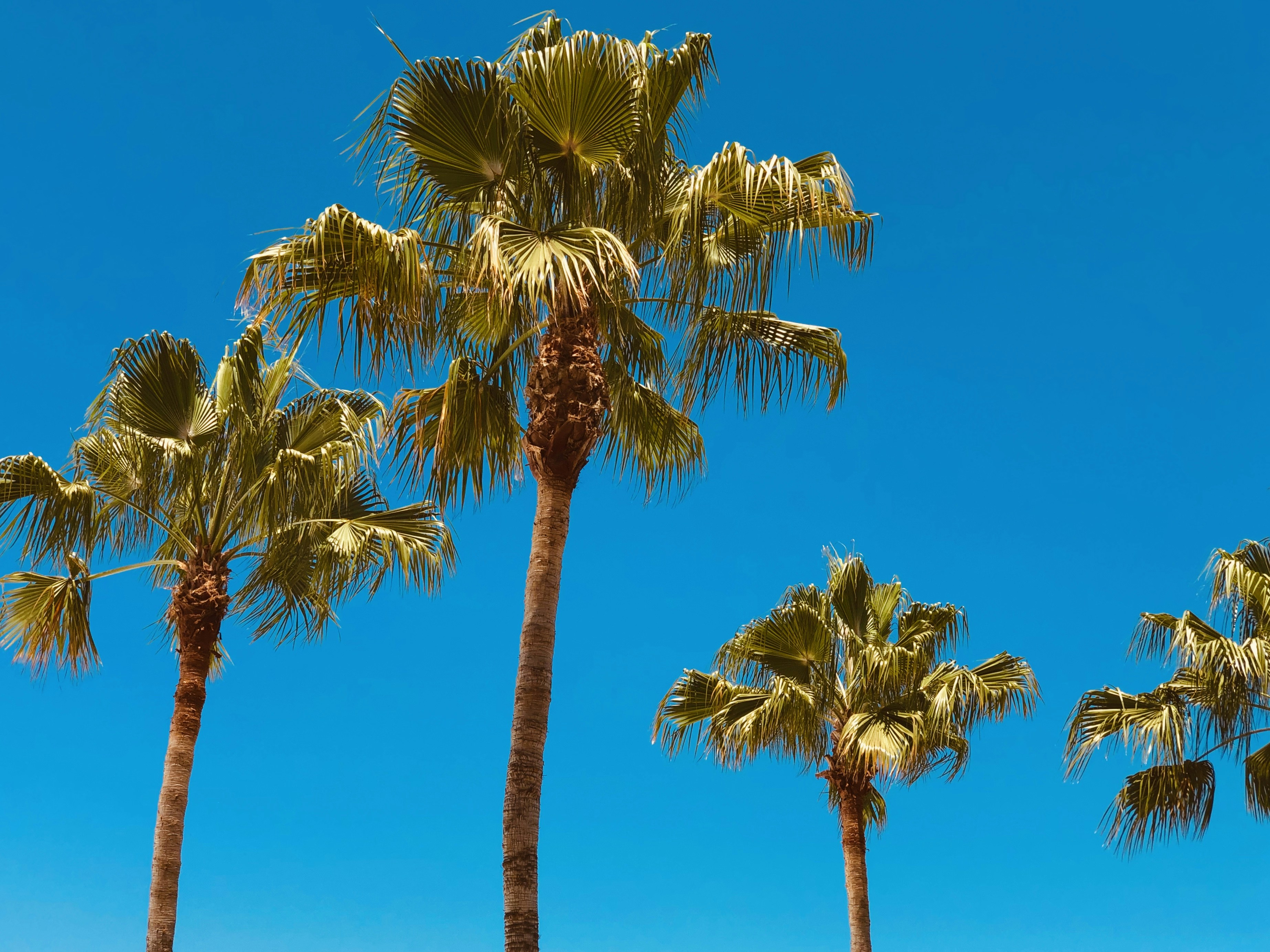 Frances Voyage Co – Custom Travel Itineraries & Experiences's image