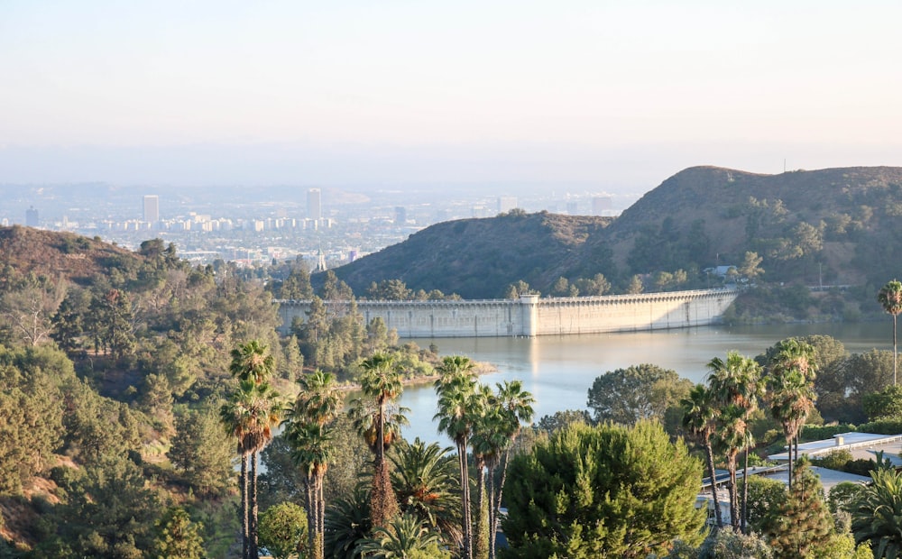 aerial view of dam and trees