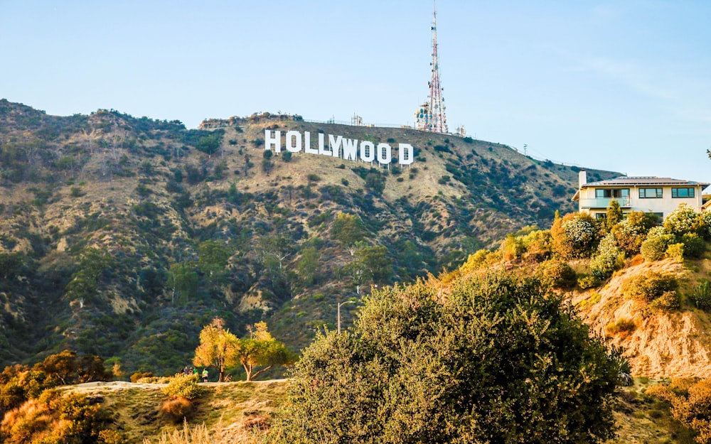 low-angle photography of Hollywood Sign