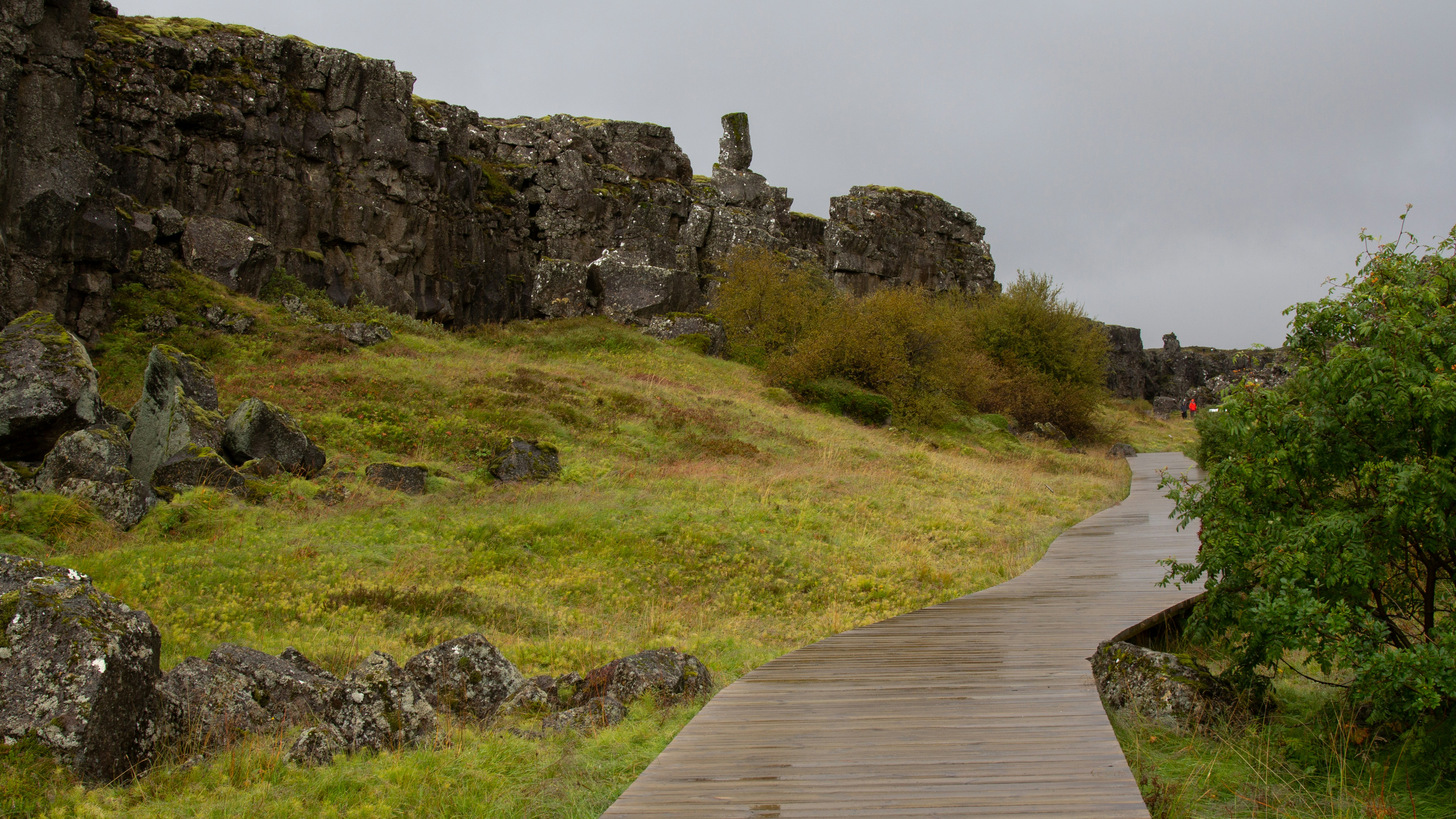 Photo by sandymoonlight