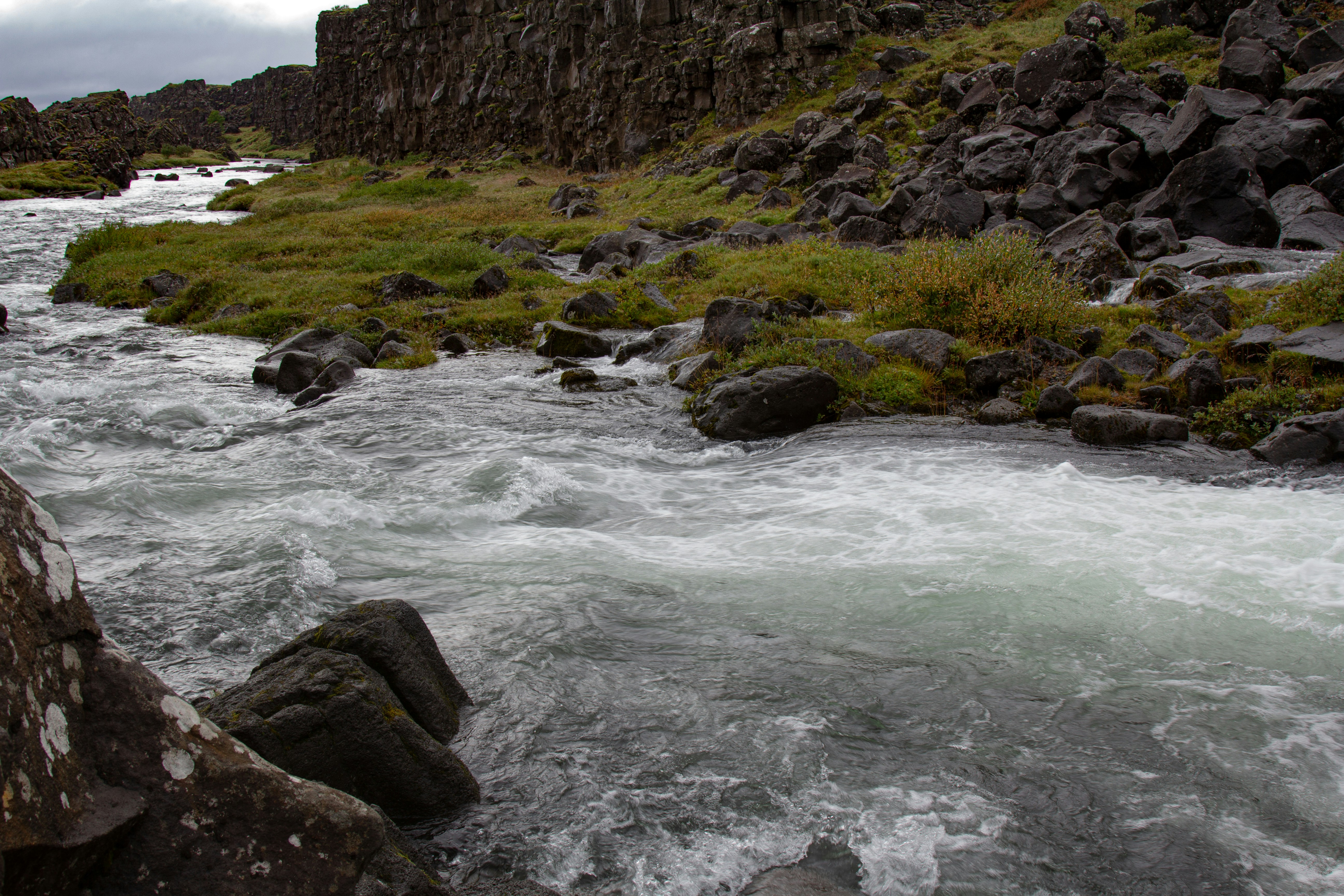 Photo by sandymoonlight