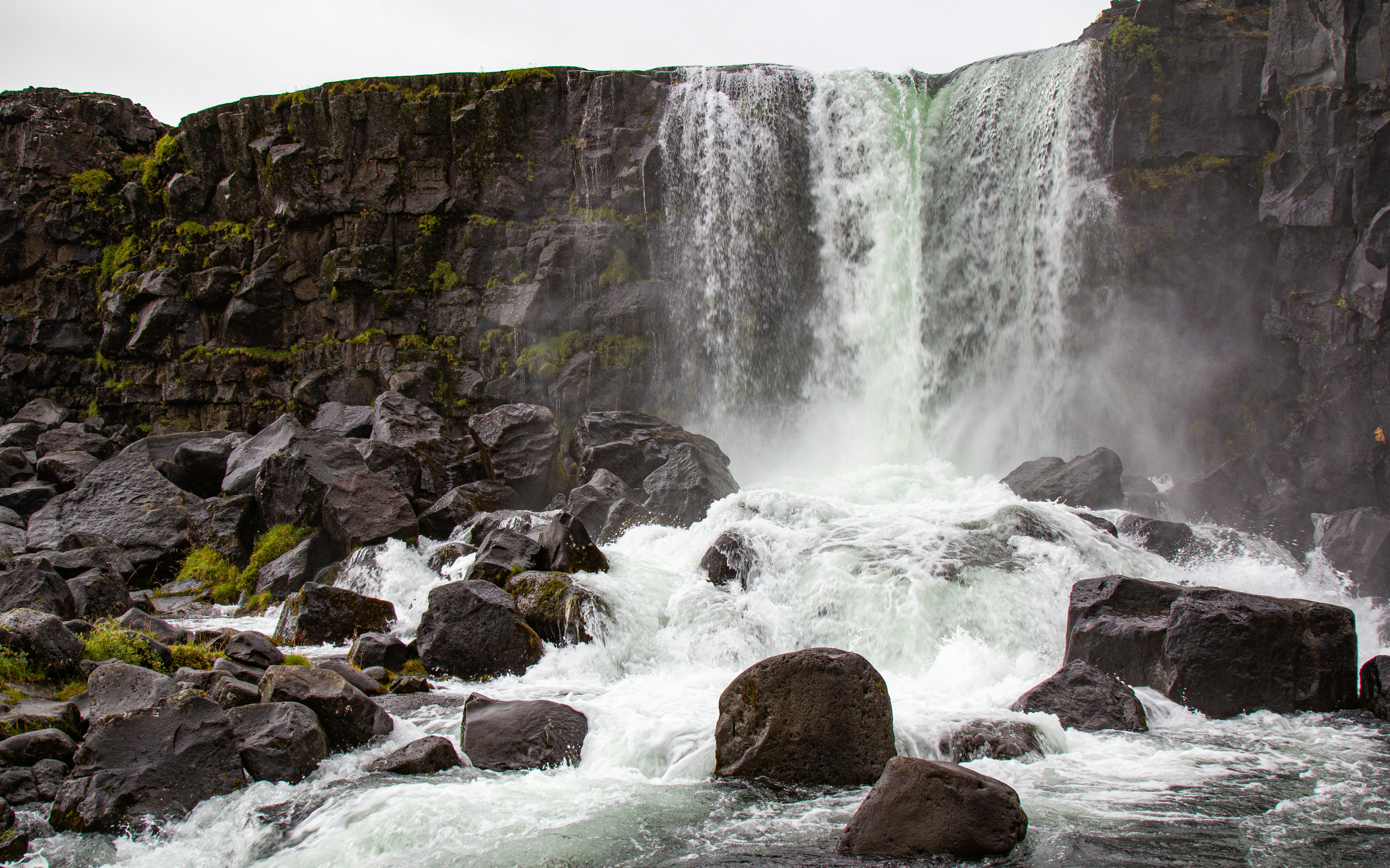 Photo by sandymoonlight