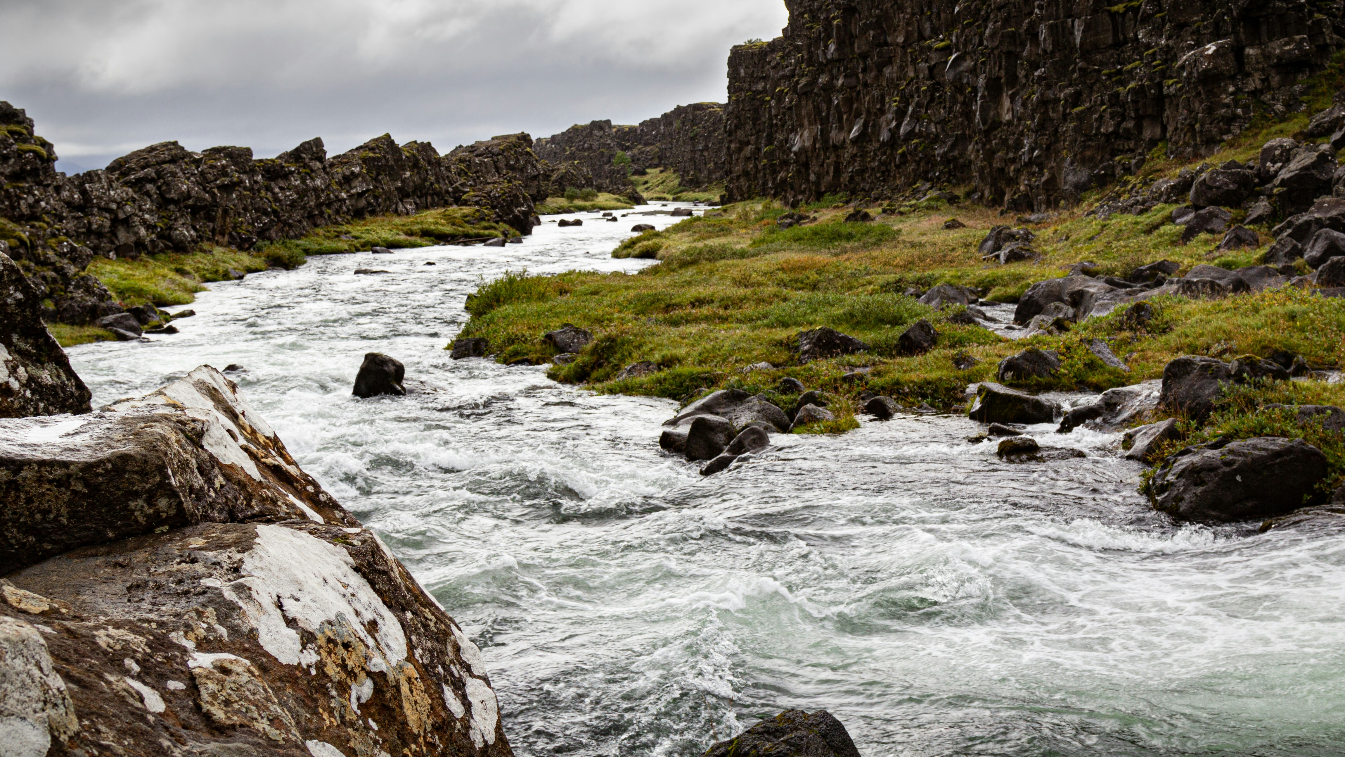 Photo by sandymoonlight