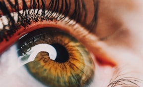 human eye close-up photography