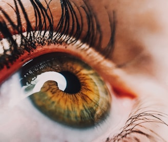 human eye close-up photography