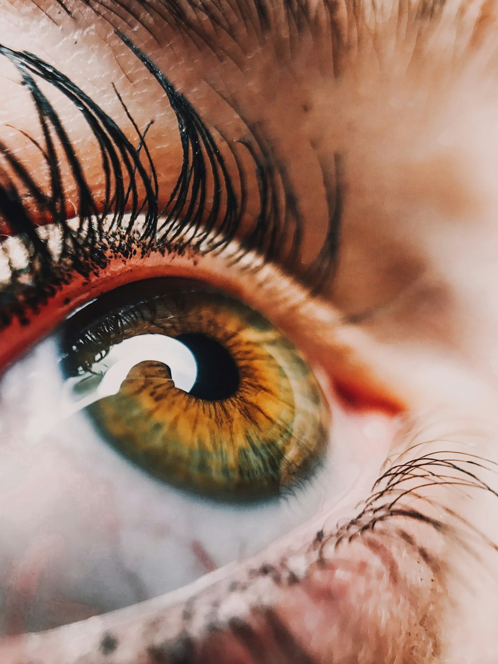 human eye close-up photography