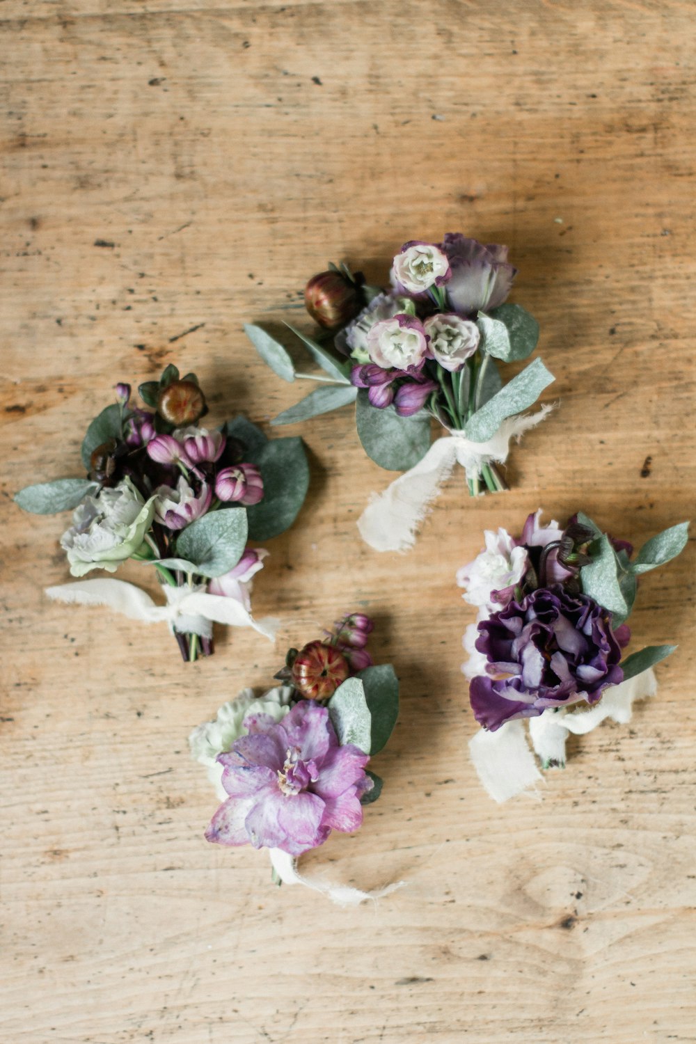 purple and green petaled flowers