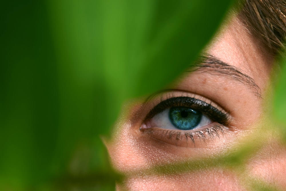 person watching through green leaf