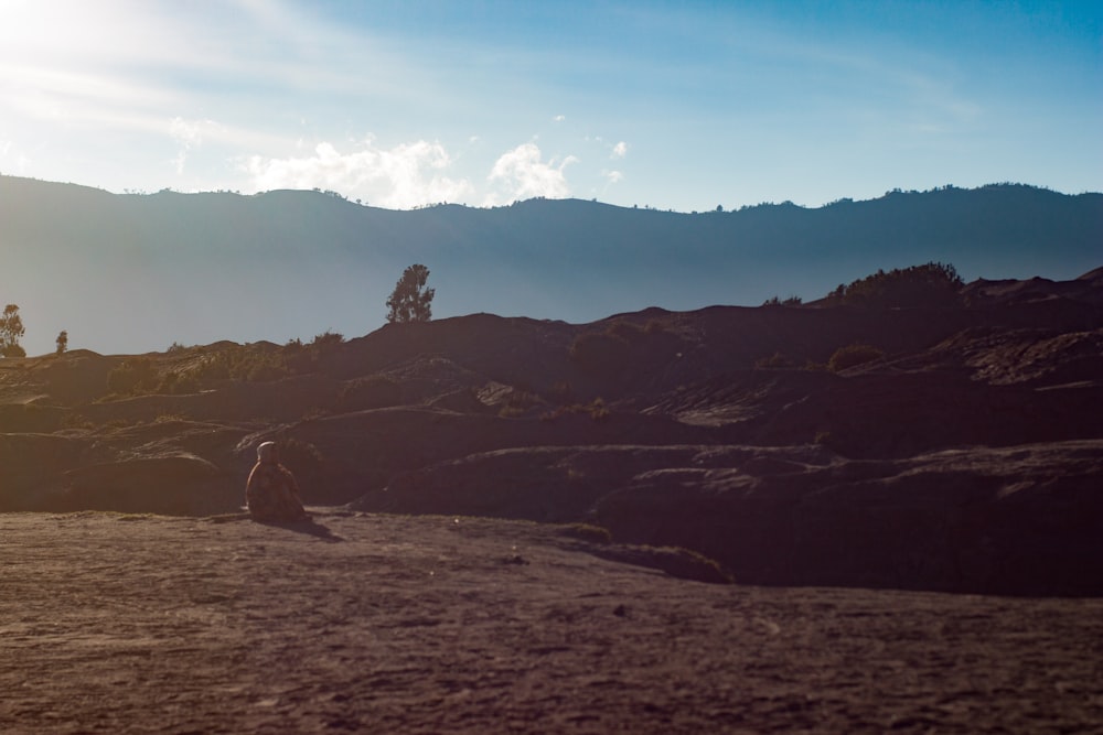 landscape photography of mountain