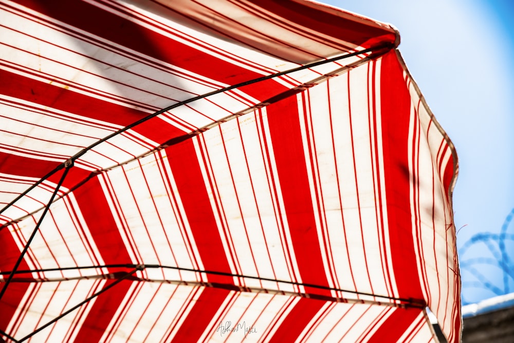 red and white umbrella